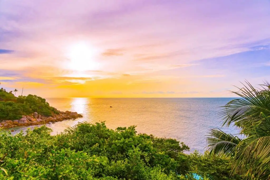 beautiful-outdoor-tropical-beach-sea-around-samui-island-with-coconut-palm-tree-other-sunset-time