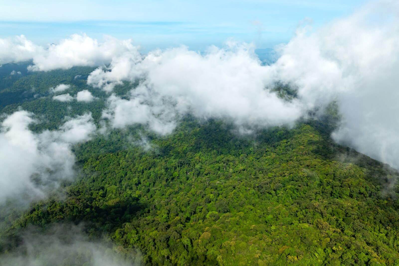 aerial-view-flowing-fog-waves-mountains-tropical-rainforestbird-eye-view-image-clouds-amazing-nature-background-with-clouds-mountains-peaks-thailand