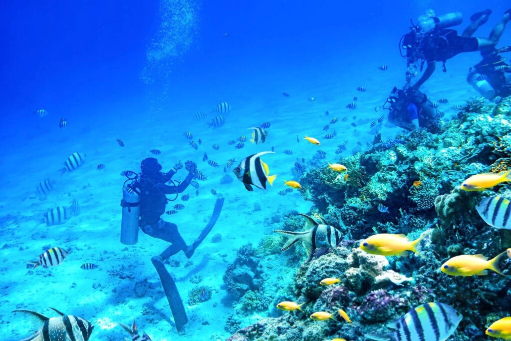 divers-swimming-underwater-with-coral-reefs-phuket-krabi-phang-nga-andaman-sea-islands-thailand