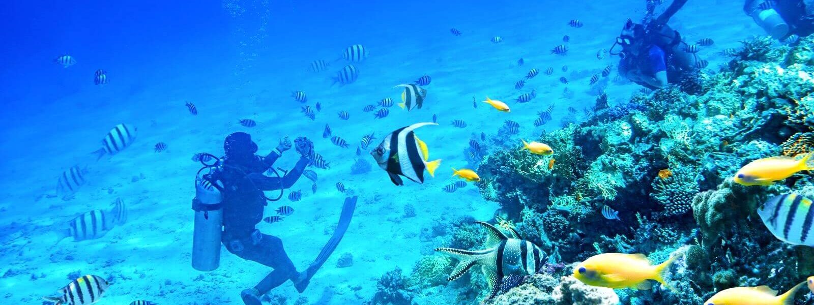 divers-swimming-underwater-with-coral-reefs-phuket-krabi-phang-nga-andaman-sea-islands-thailand