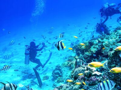 divers-swimming-underwater-with-coral-reefs-phuket-krabi-phang-nga-andaman-sea-islands-thailand