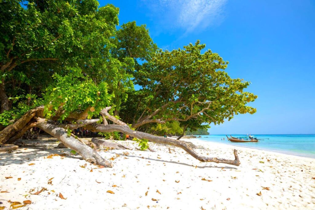 long-tail-boat-tropical-beach-koh-phi-phi-krabi-thailand