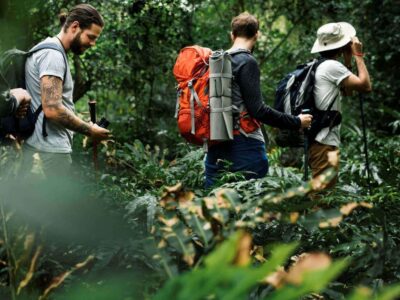 Trekking-Forest-Nature-Adventure-in-Phuket-Phang-Nga-Jungle-Trekking-and-Wildlife-Tours