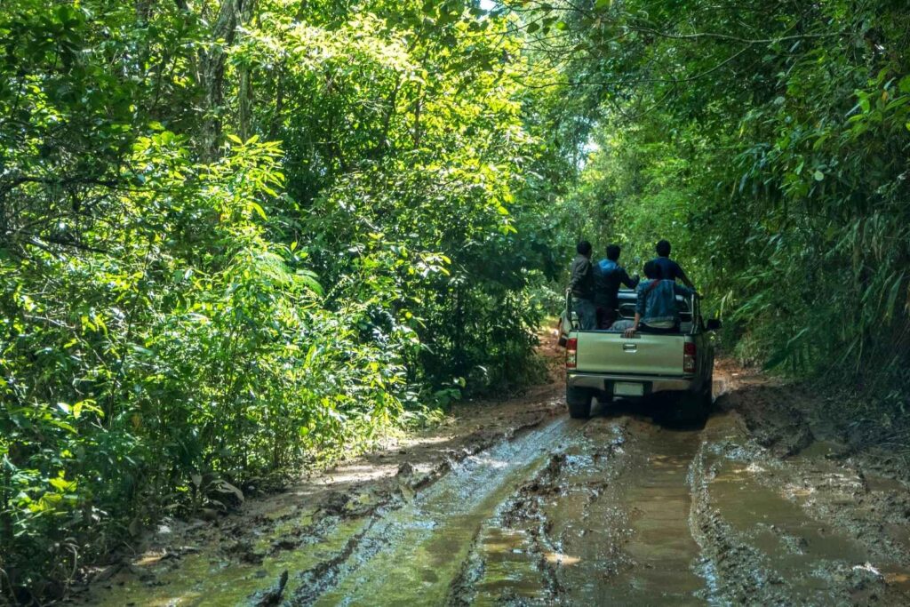 Phuket Safari Tours: Jeep Rides and Wildlife Safaris Through the Jungle