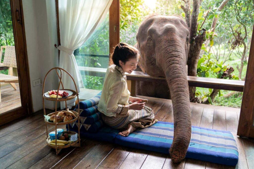 Phuket Elephant Sanctuary Tours: Ethical Encounters with Thailand’s Gentle Giants