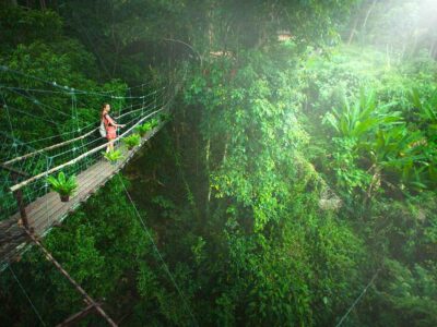 Eco-Adventure-Tour-Phuket-Mangroves-Trekking-Hot-Springs