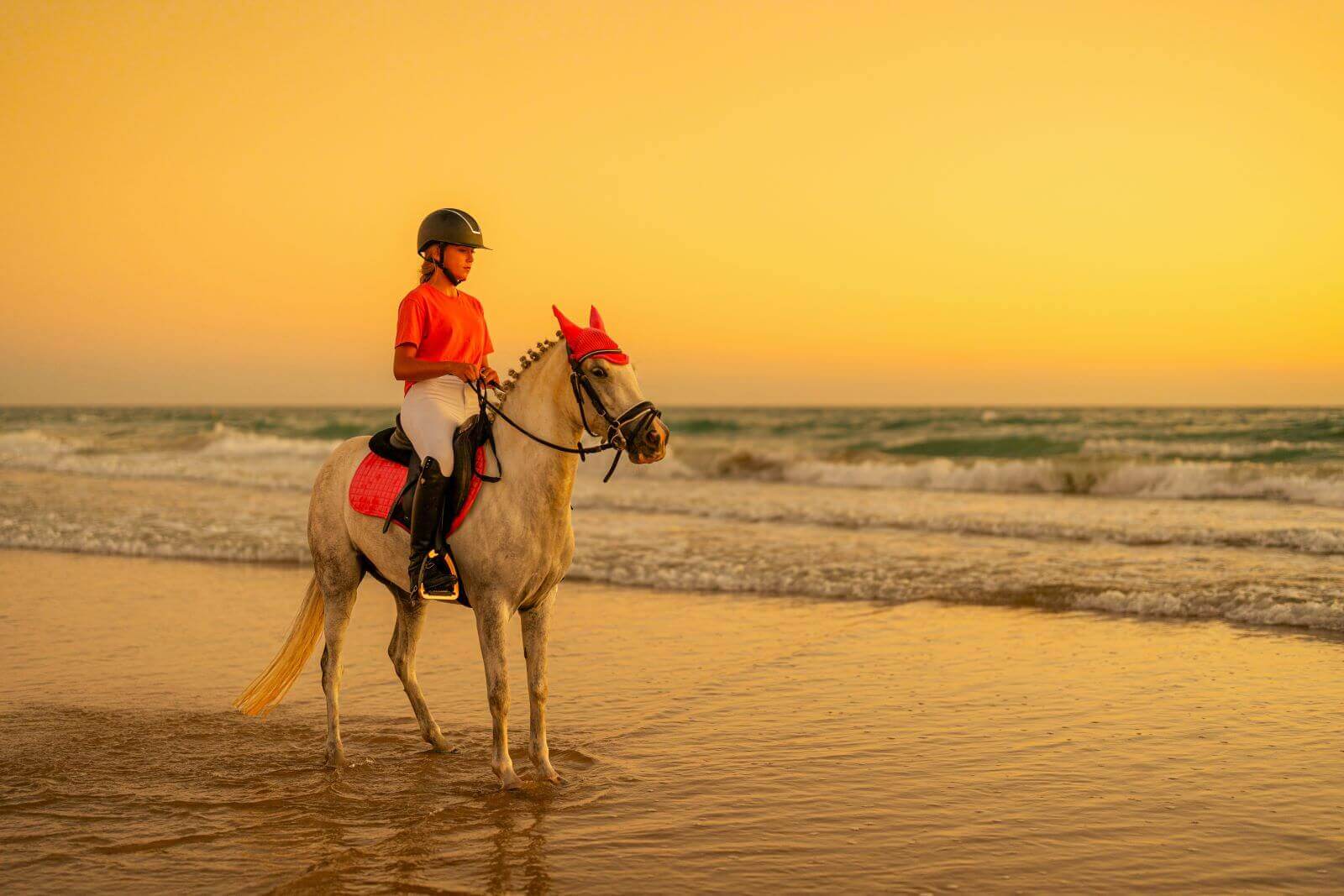 Explore-Sunset-Kamala-Beach-Horse-Riding-in-Phuket-Thailand