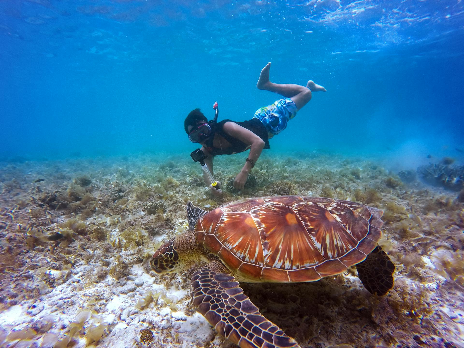 Phi-Phi-Islands-Snorkeling-Top-Rated-Tour-with-Buffet