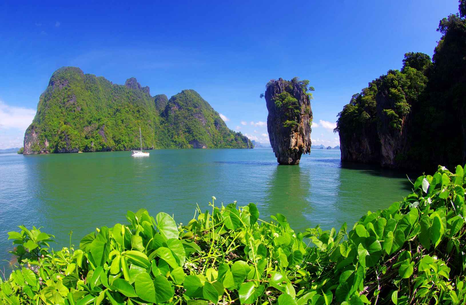 Phang-Nga-Bay-Tour-Bioluminescent-Plankton-and-Sea-Canoeing-Phuket