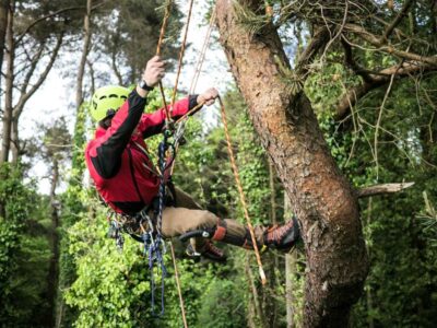 Phuket-ATV-Zipline-Adventure-Tour-Big-Buddha