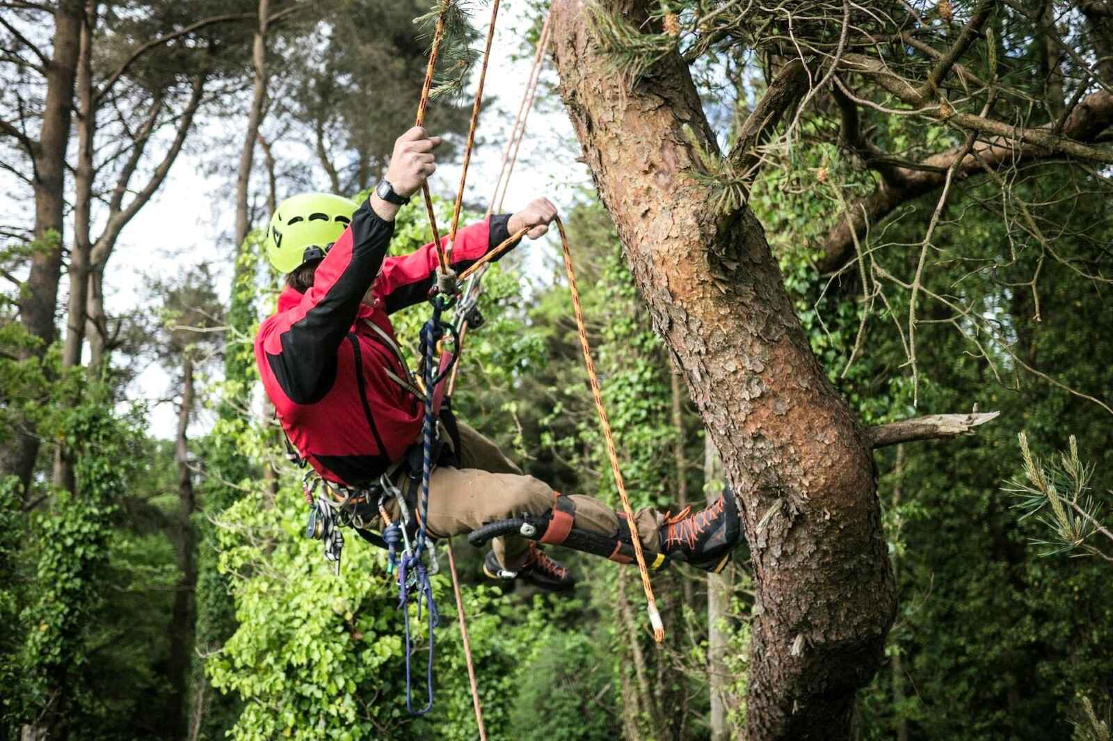 Phuket-ATV-Zipline-Adventure-Tour-Big-Buddha