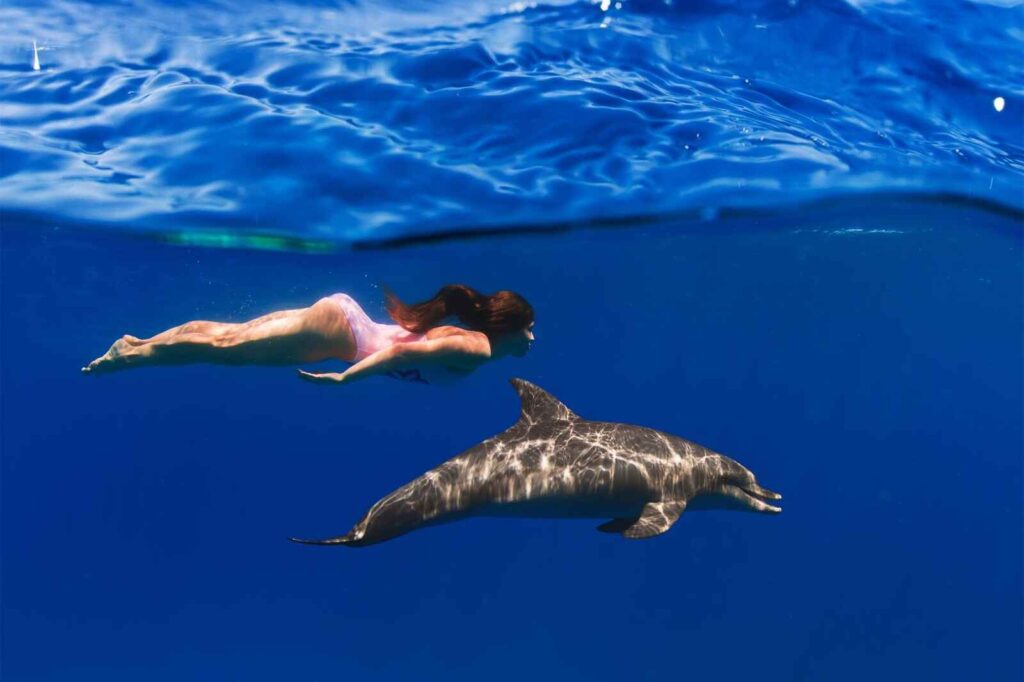 Phuket-Private-Dolphin-Spotting-Snorkeling-Tour