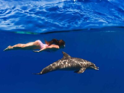 Phuket-Private-Dolphin-Spotting-Snorkeling-Tour