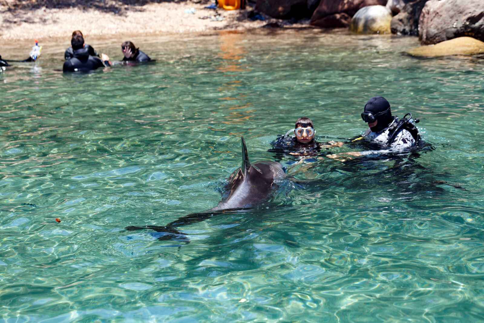 Phuket-Private-Dolphin-Spotting-Snorkeling-Tour